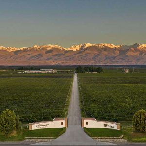 Wine, Olive and Mountain